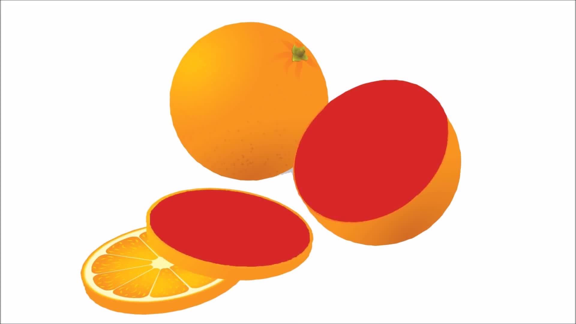 Shapes Everywhere! - Learning Shapes for Kids