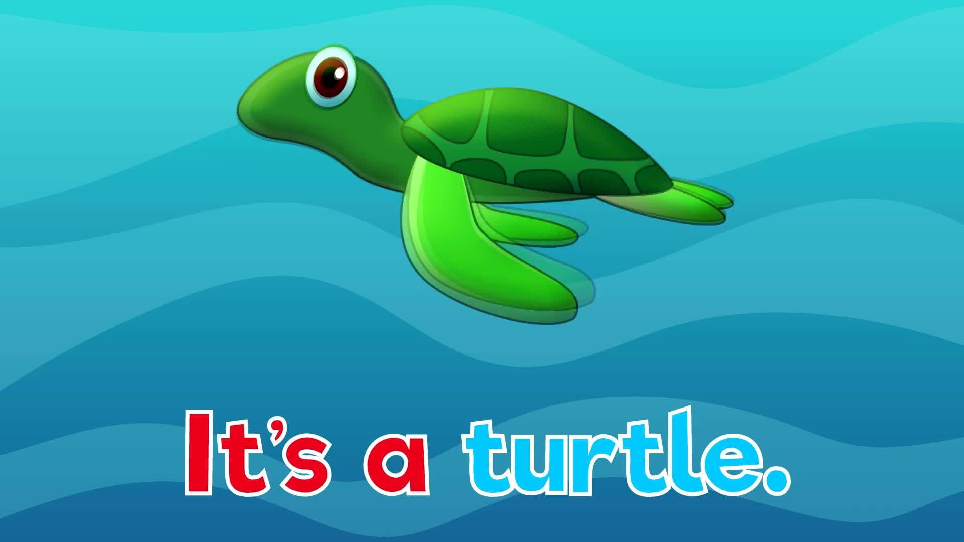 Under the Sea Part 2