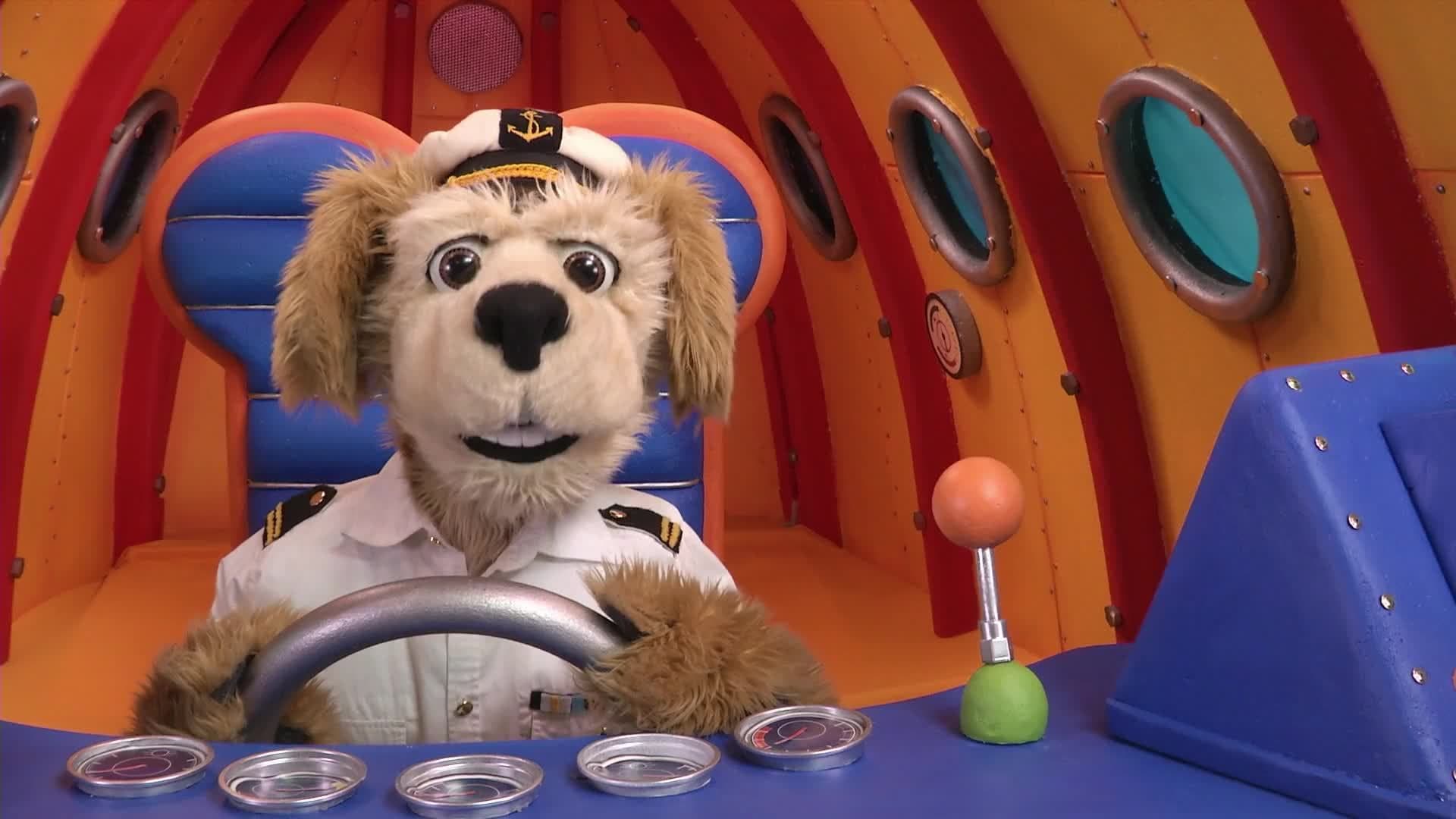 Animal Alphabet: R is for Right Whale