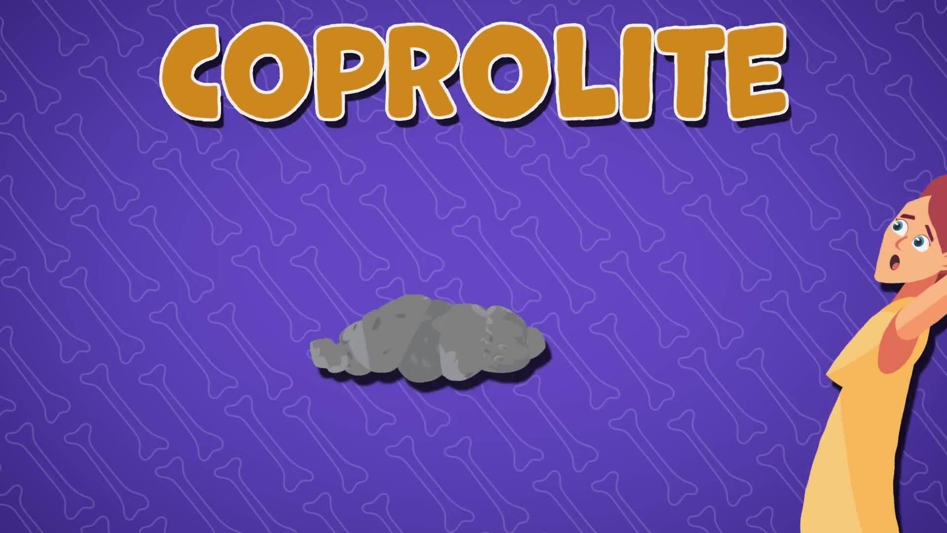 High Five Facts - Fossils