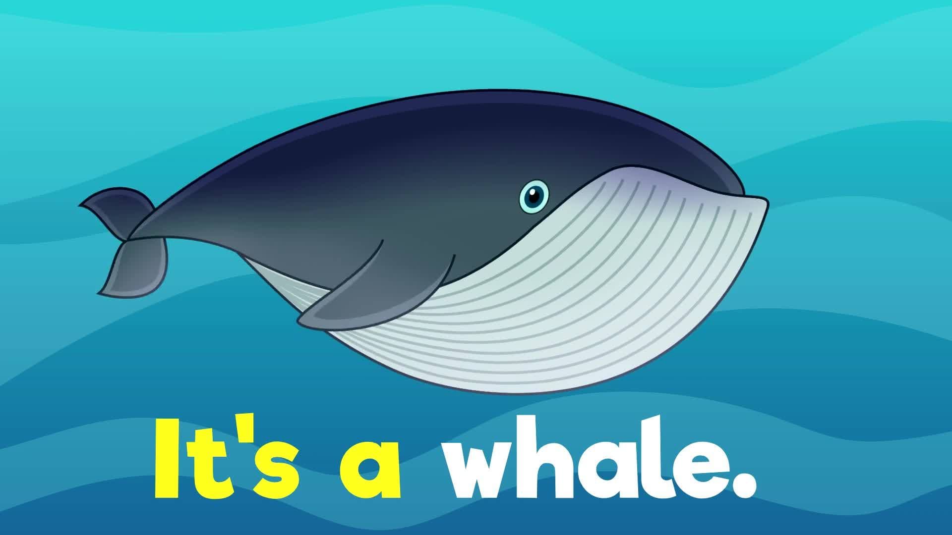 Under the Sea Part 1