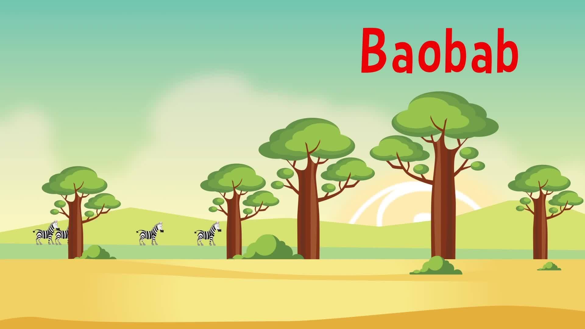 Wild Animals Habitats