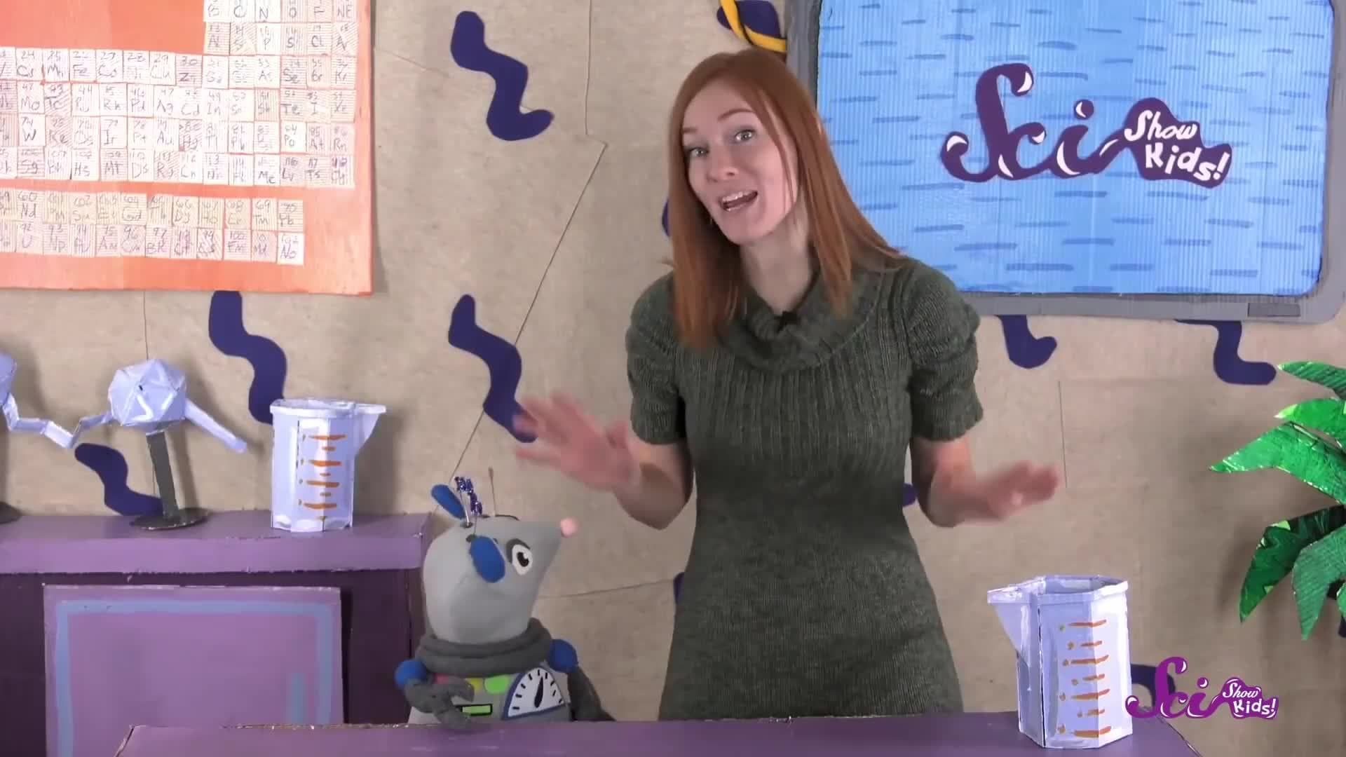 4 Facts to Know About Reindeer