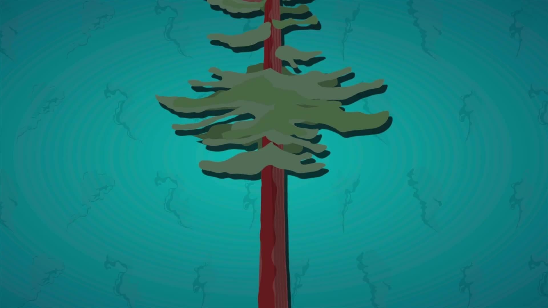 I WONDER - How Does The Redwood Tree Get Enough Water?