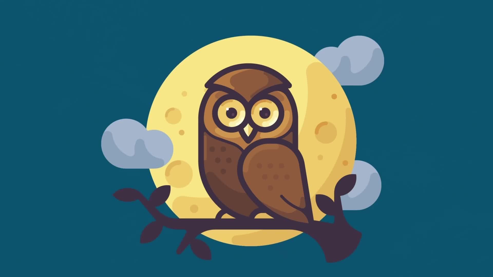 Owl Facts for Kids
