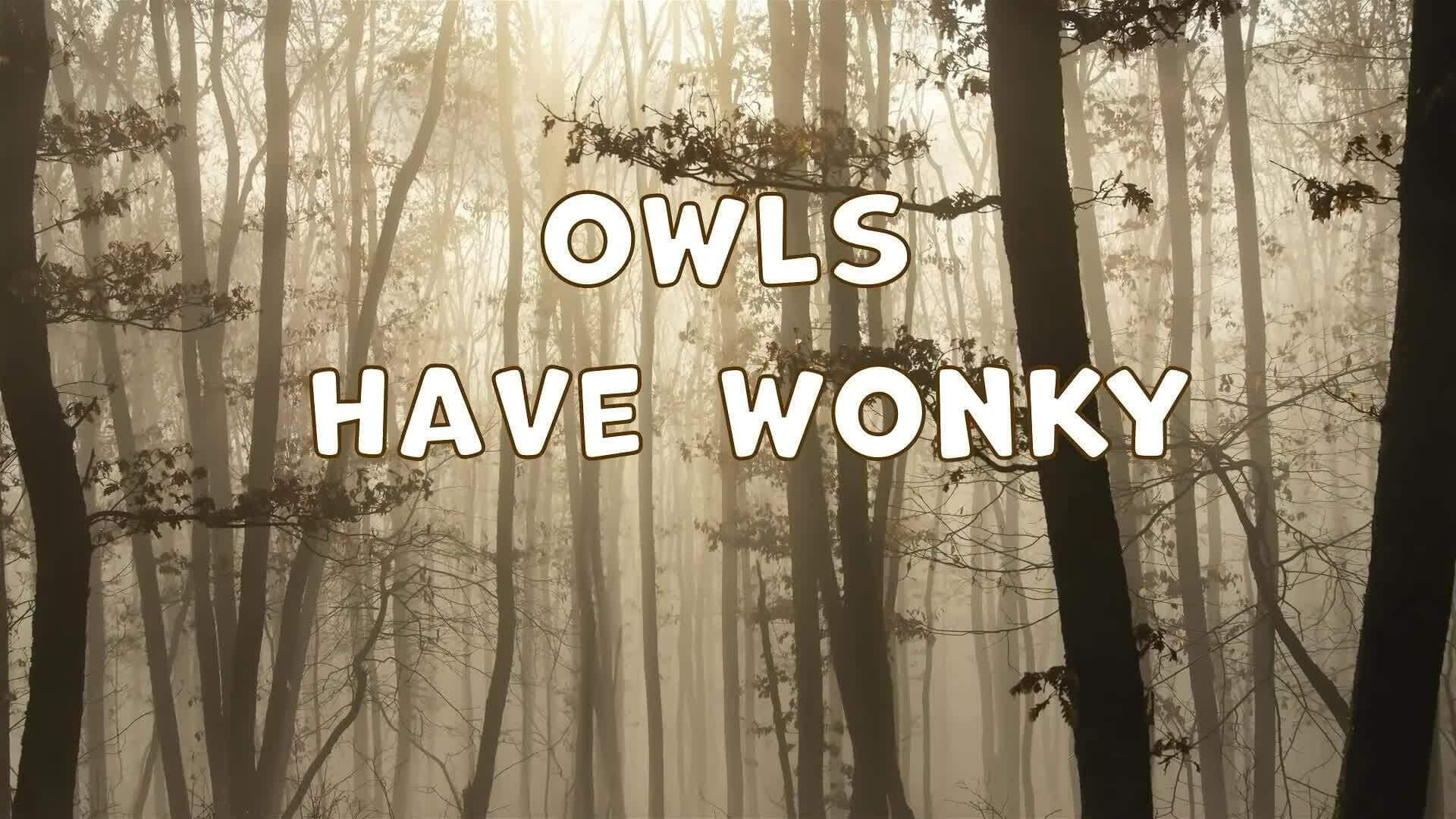 I WONDER - Why Do Owls Have Funny Ears?