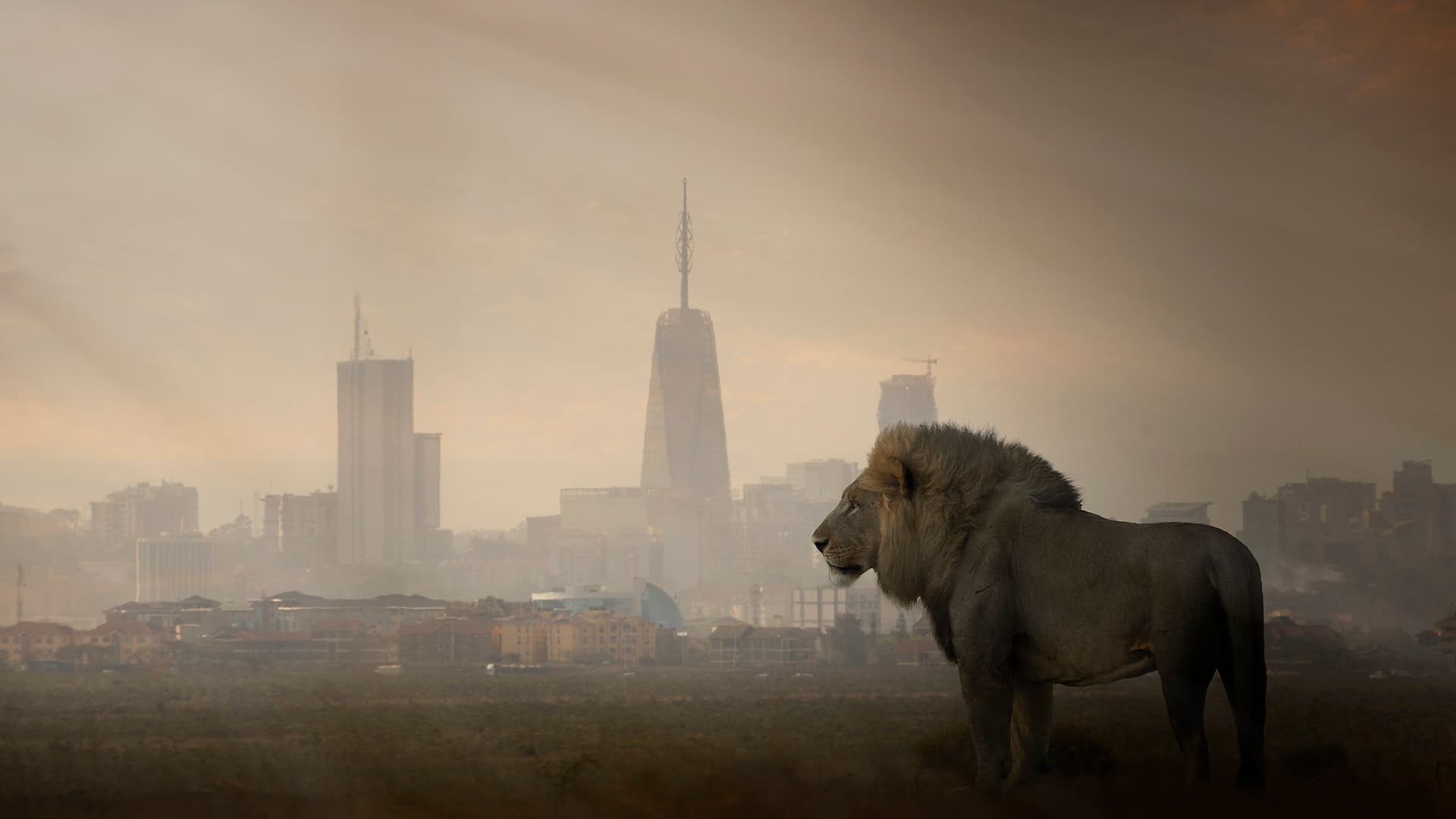 Compassion: The Key to Understanding and Caring for Others