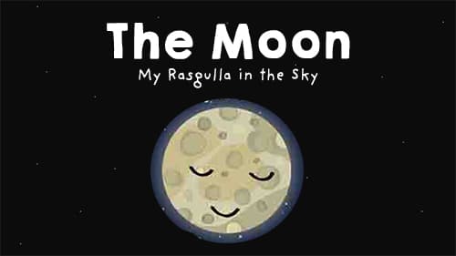 What does moon look like?