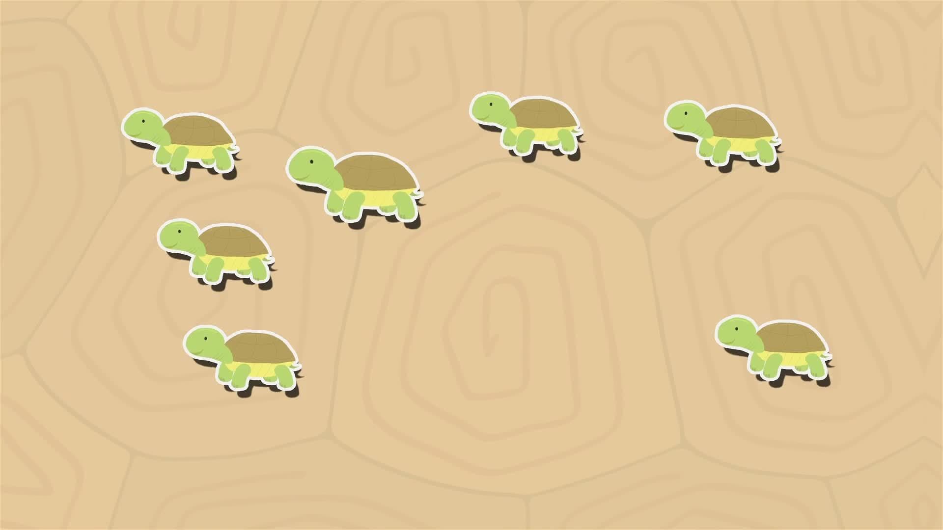 I WONDER - What Is A Group Of Tortoises Called?