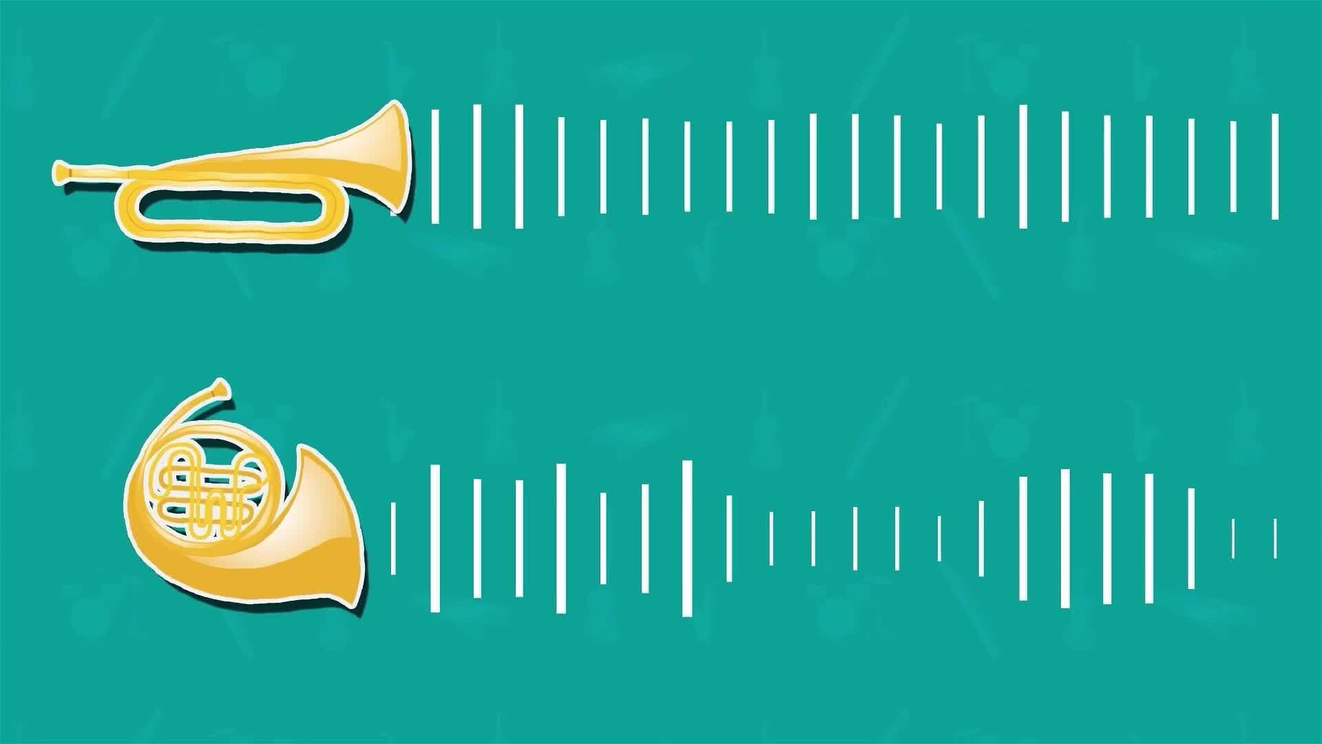 I WONDER - What Instruments Are In The Brass Section?