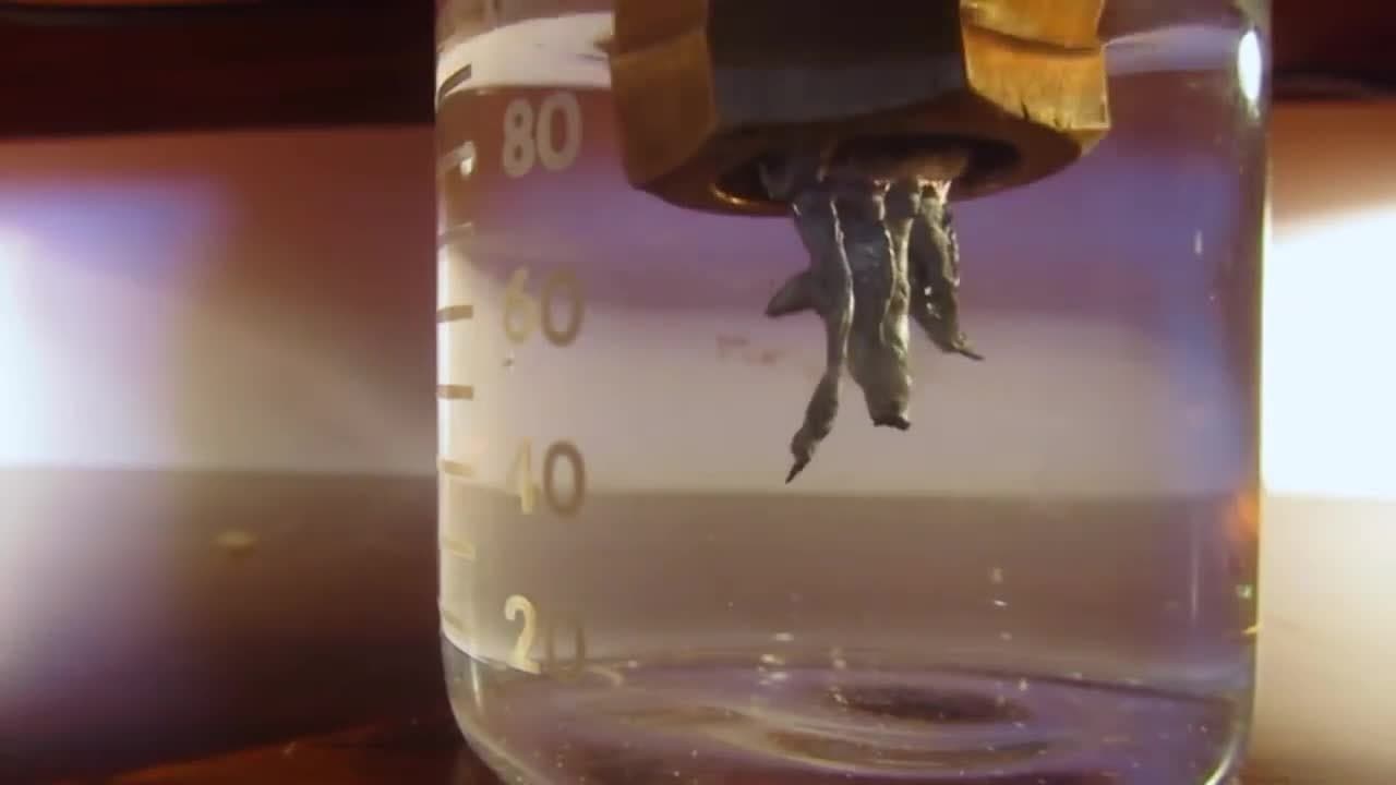 How to Grow A Lead Crystal Tree! Old Alchemy Demonstration.