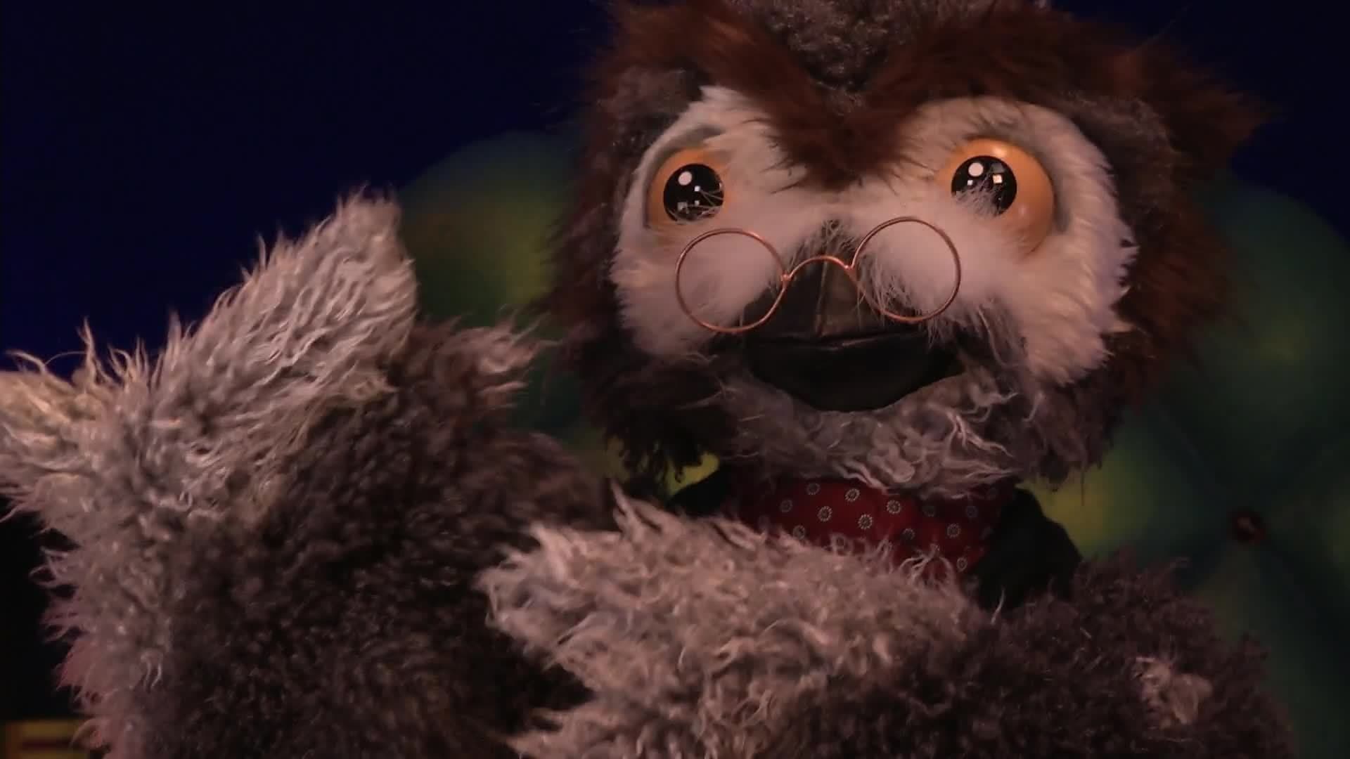 Owl's Fascinating Facts: Dolphin Sleep