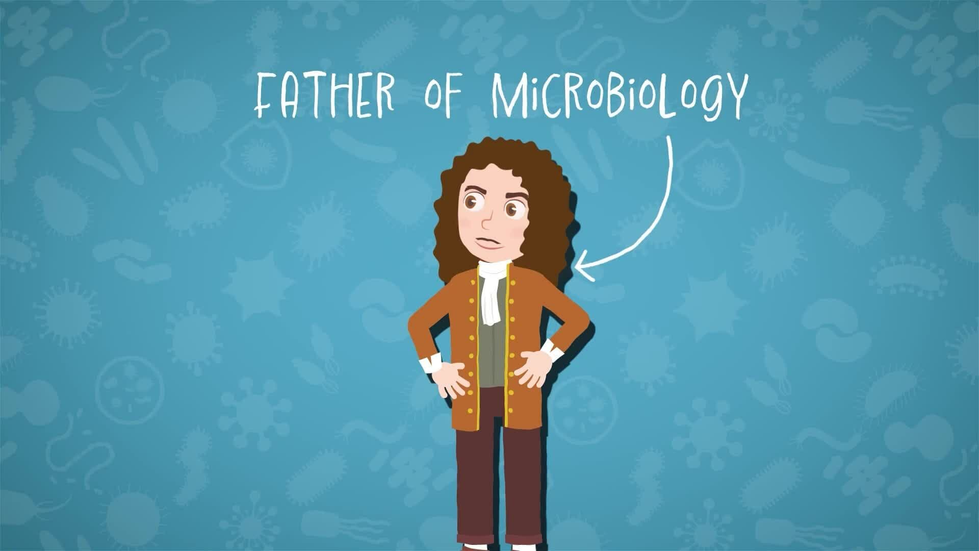 I WONDER - Who Was The First Person To Study Microorganisms?