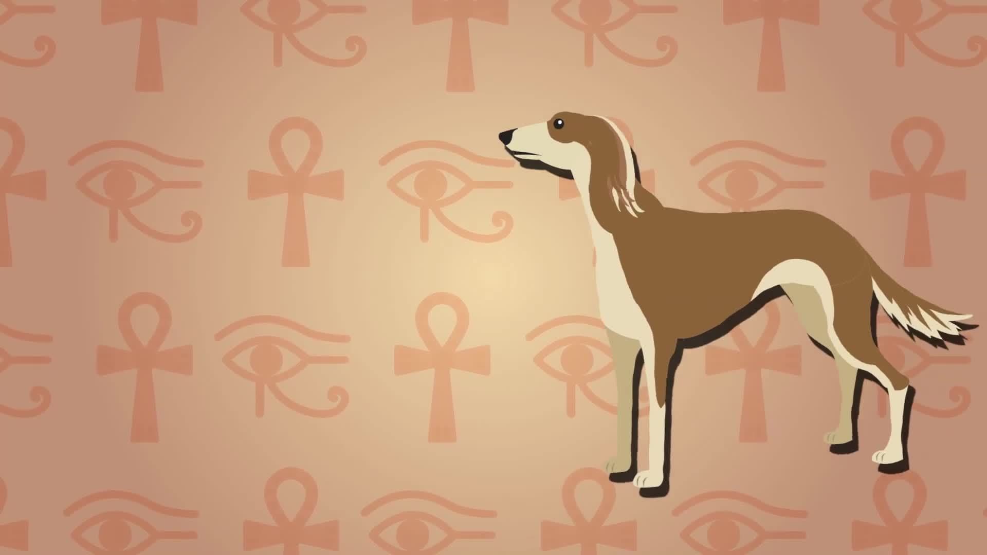 I WONDER - Why Were Cats Important To Egyptians?