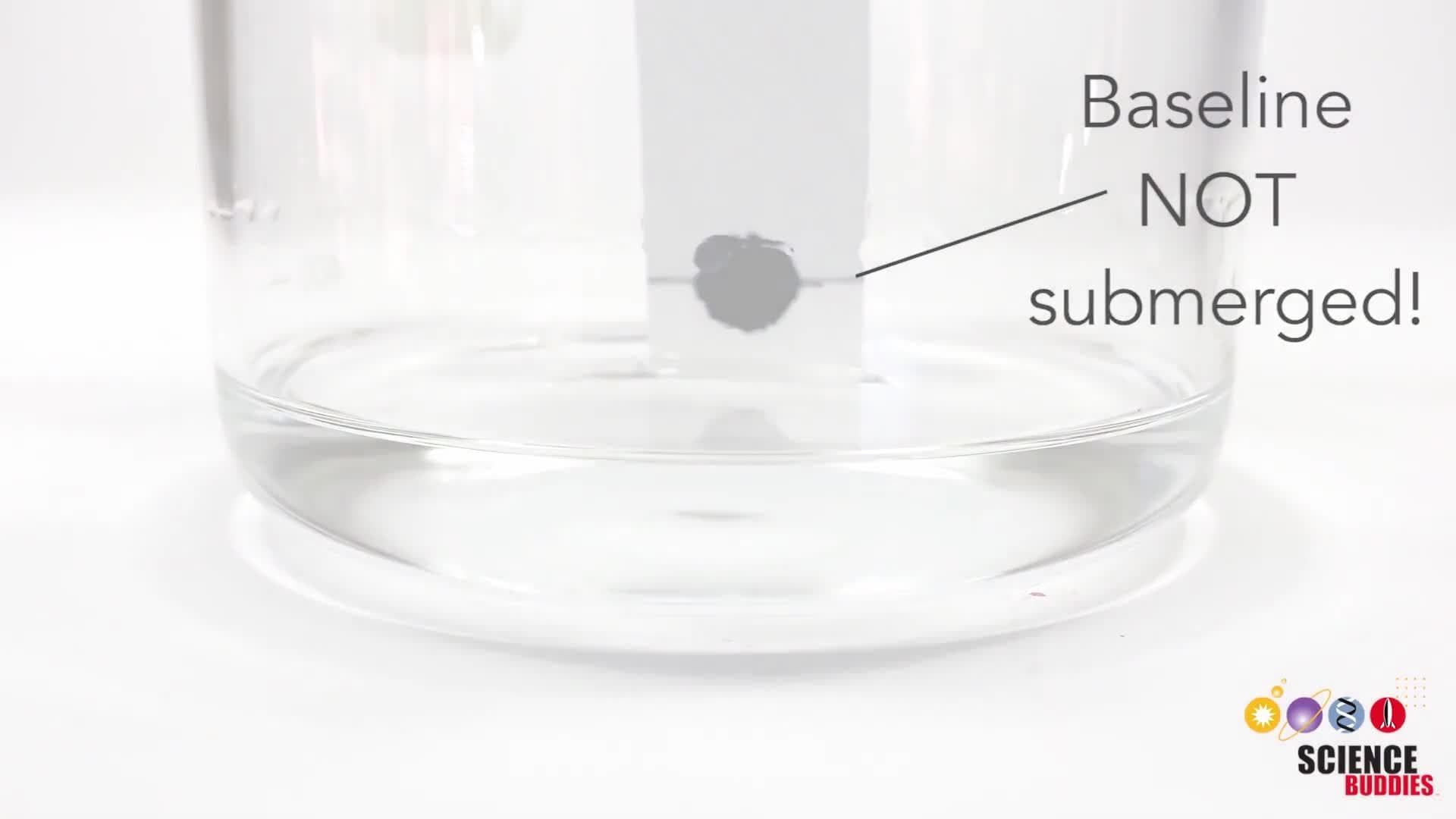 Paper Chromatography Experiments and Explanations