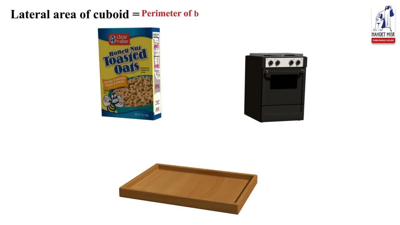 Geometry and Measurements: Lateral Area and the Total Area of a Cuboid