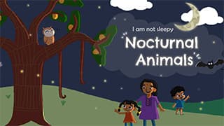 Introduction to Nocturnal Animals