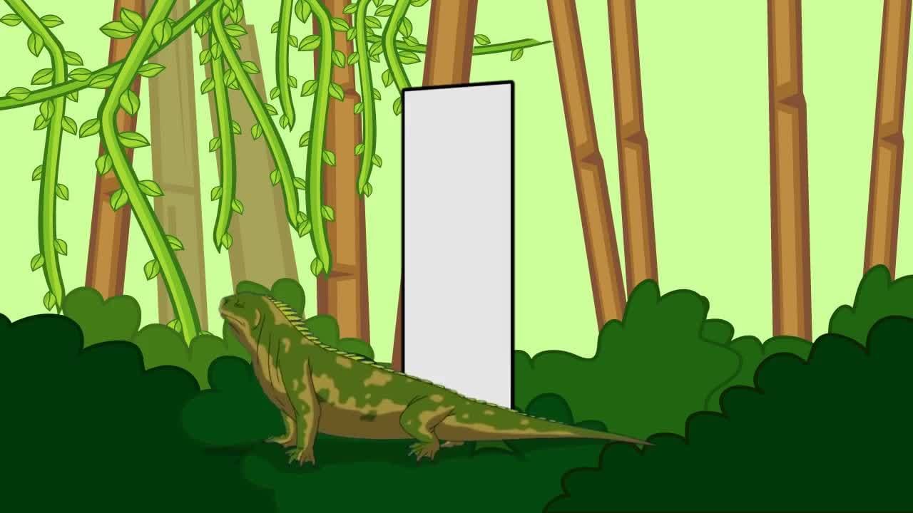 Animal ABCs!  Learn the Animal Alphabet!