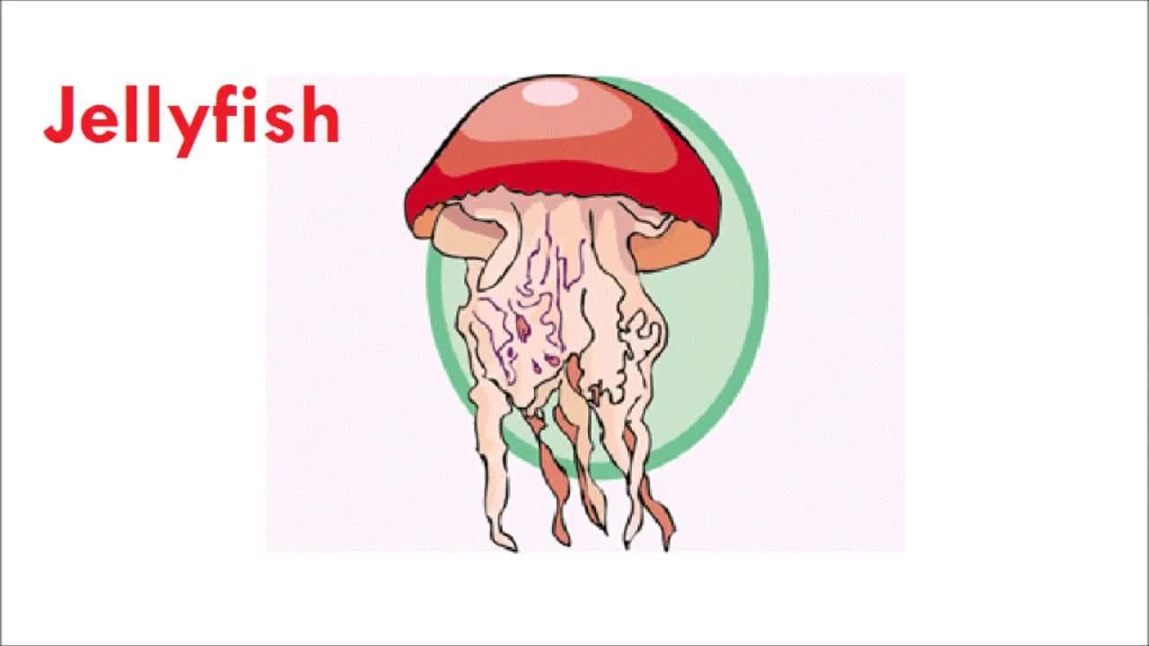 Letter J - The Alphabet Letters for Kids