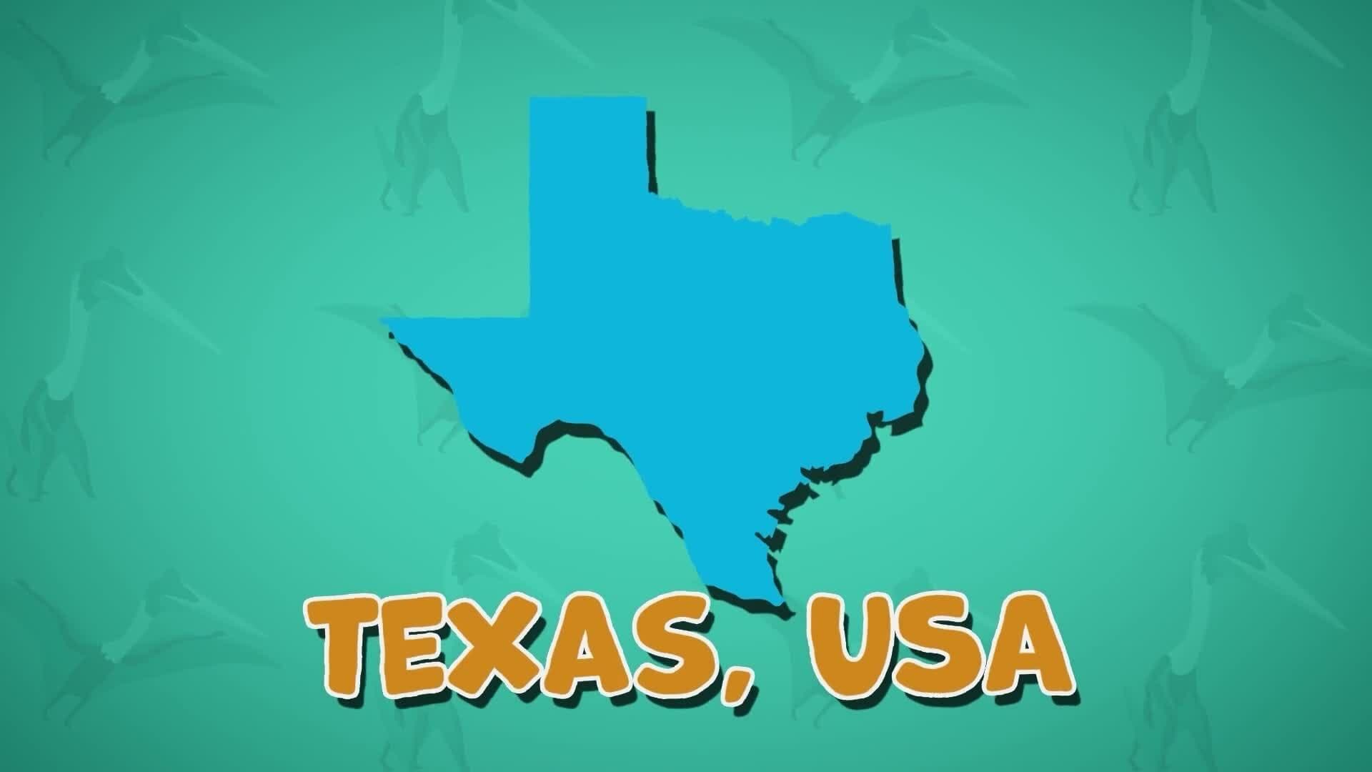 I WONDER - Where Did The Quetzalcoatlus Lay Its Eggs?