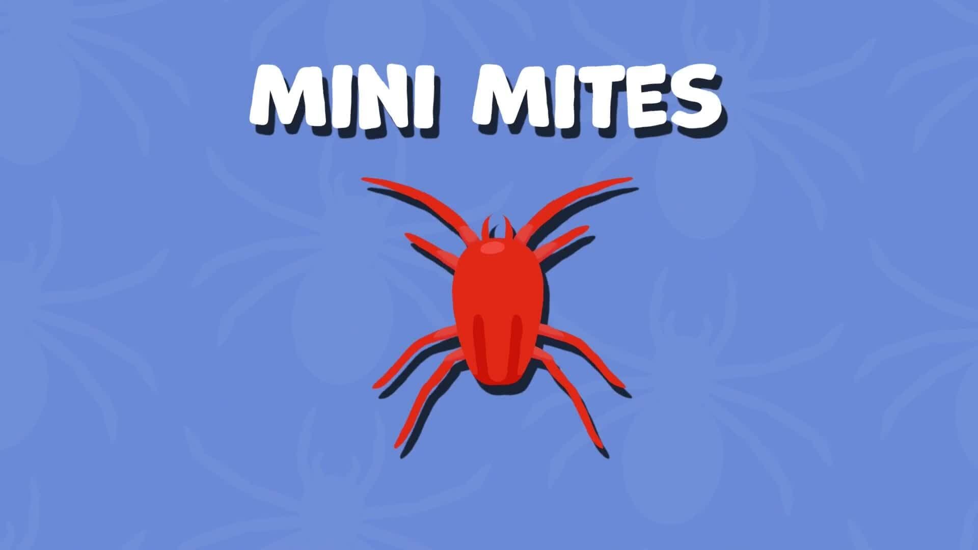 High Five Facts - Arachnids