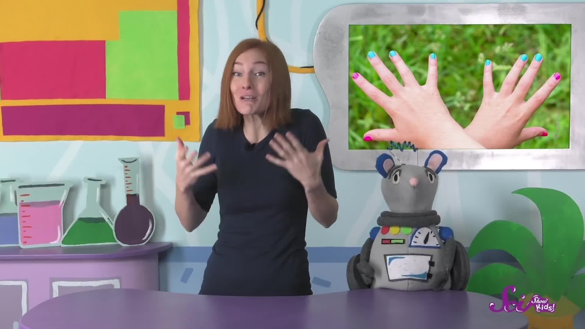 Nails: Your Human Claws