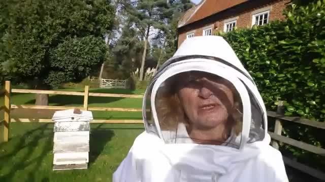 What do bees do in the winter? | Beekeeping with Maddie #3