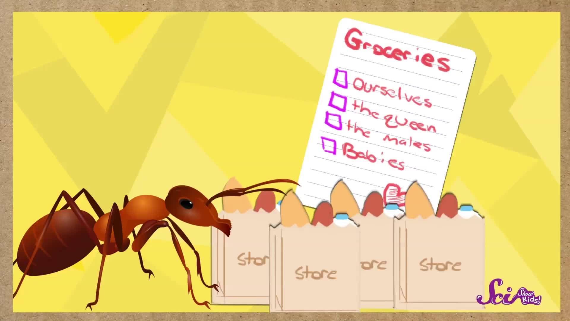 How Do Ants Find Food?