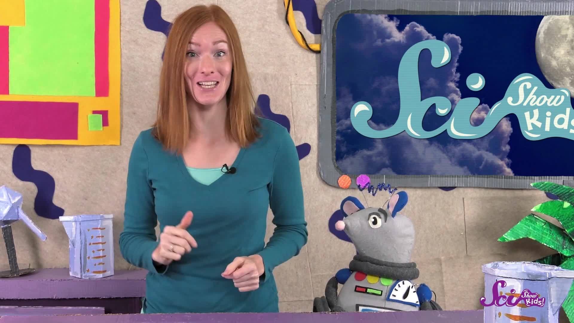 Why Do We Need Sleep?