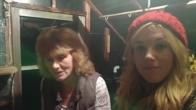 How to care for a Hedgehog - "Meet Master Winkle" | Maddie Moate