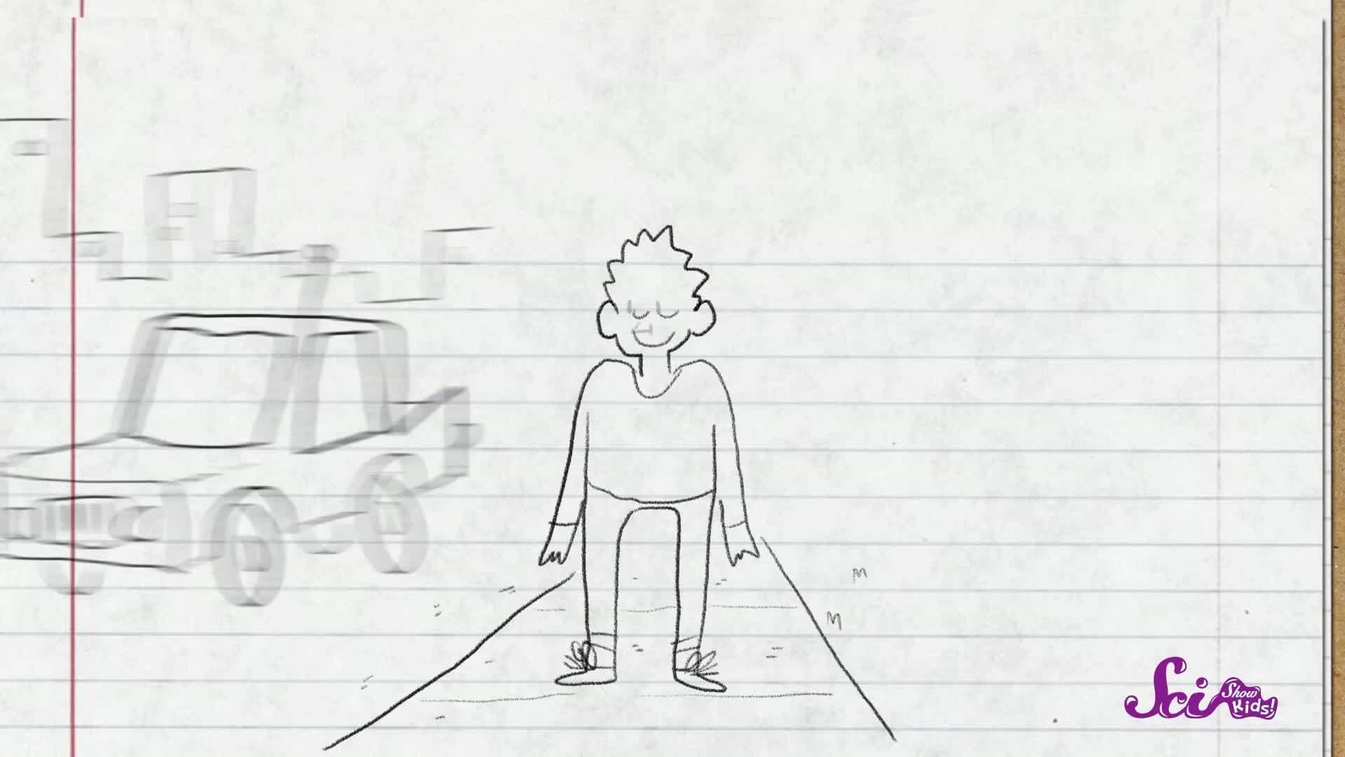 What Do You Hear in a Seashell?