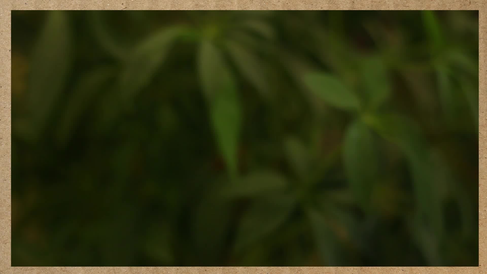 Why Is the Sky Blue?