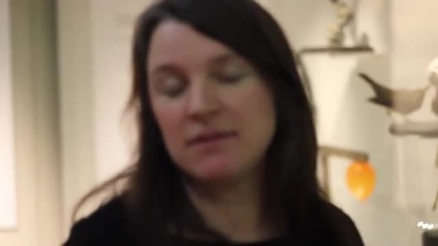 Exploring The Horniman - The Natural History Display