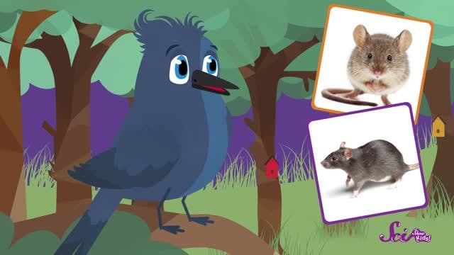 Make Your Own Recycled Bird Feeders - #sciencegoals