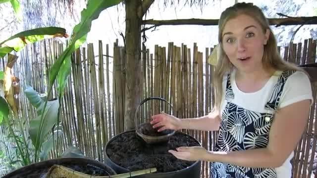 How to make Paper out of Elephant Poo?! | Maddie Moate