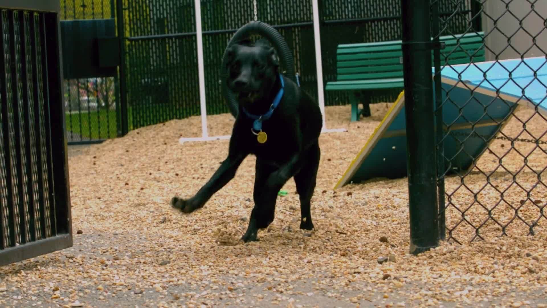 Science Kids: All About Photosynthesis