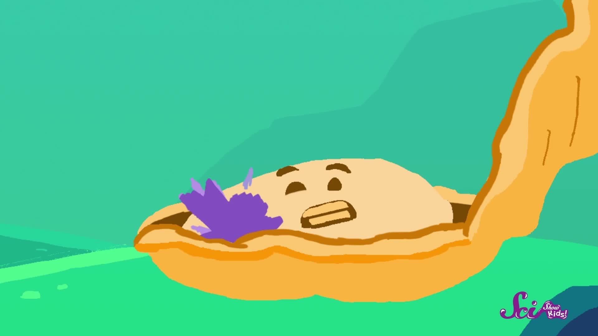 Where Do Pearls Come From?