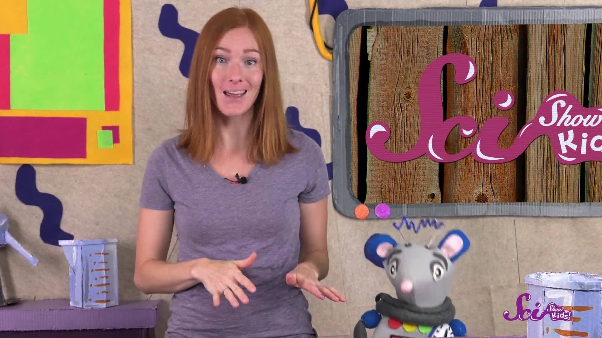 What Happens If You Get a Splinter?