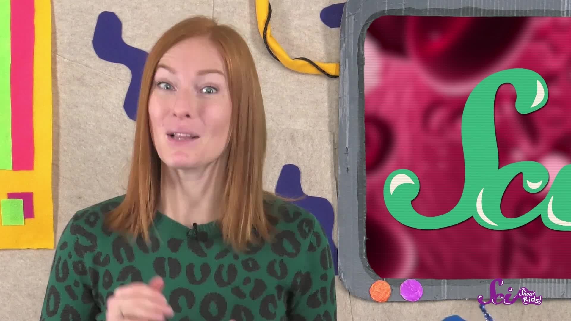 Why Do We Get Vaccines?