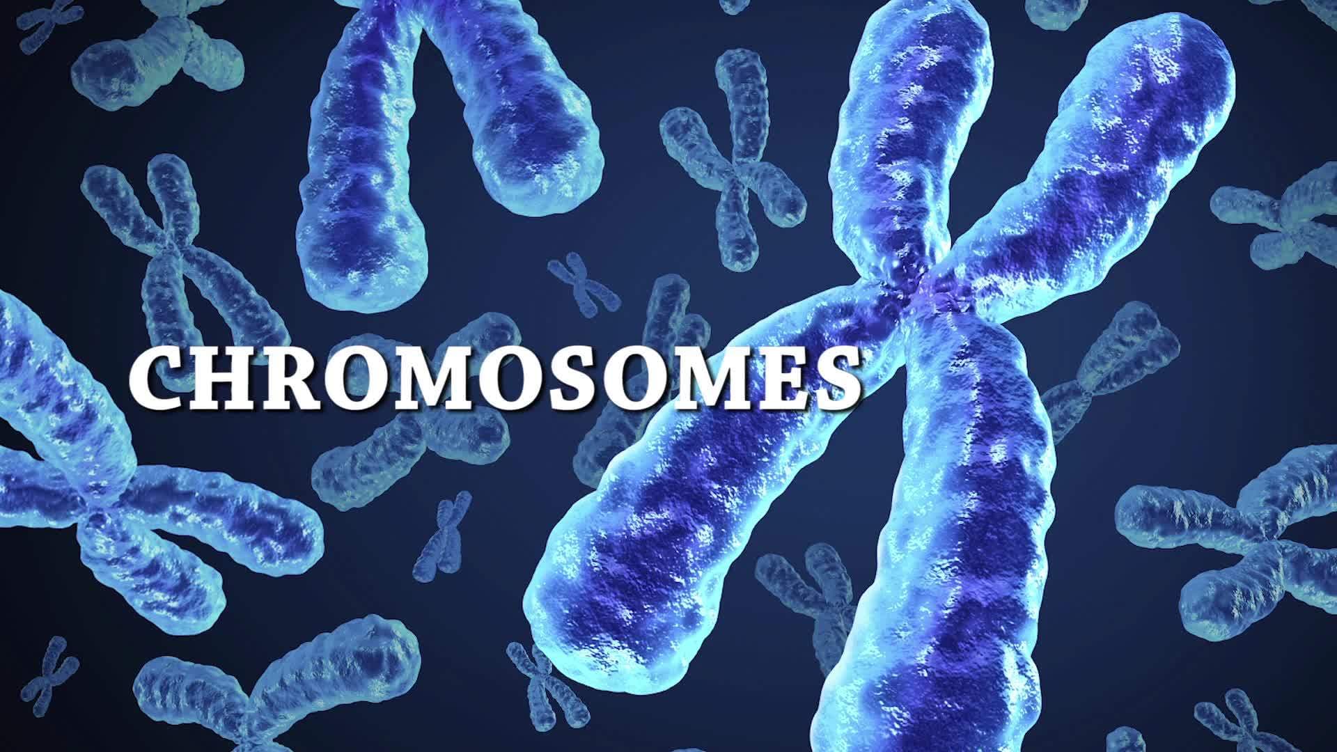 Science Kids: All About Genetics