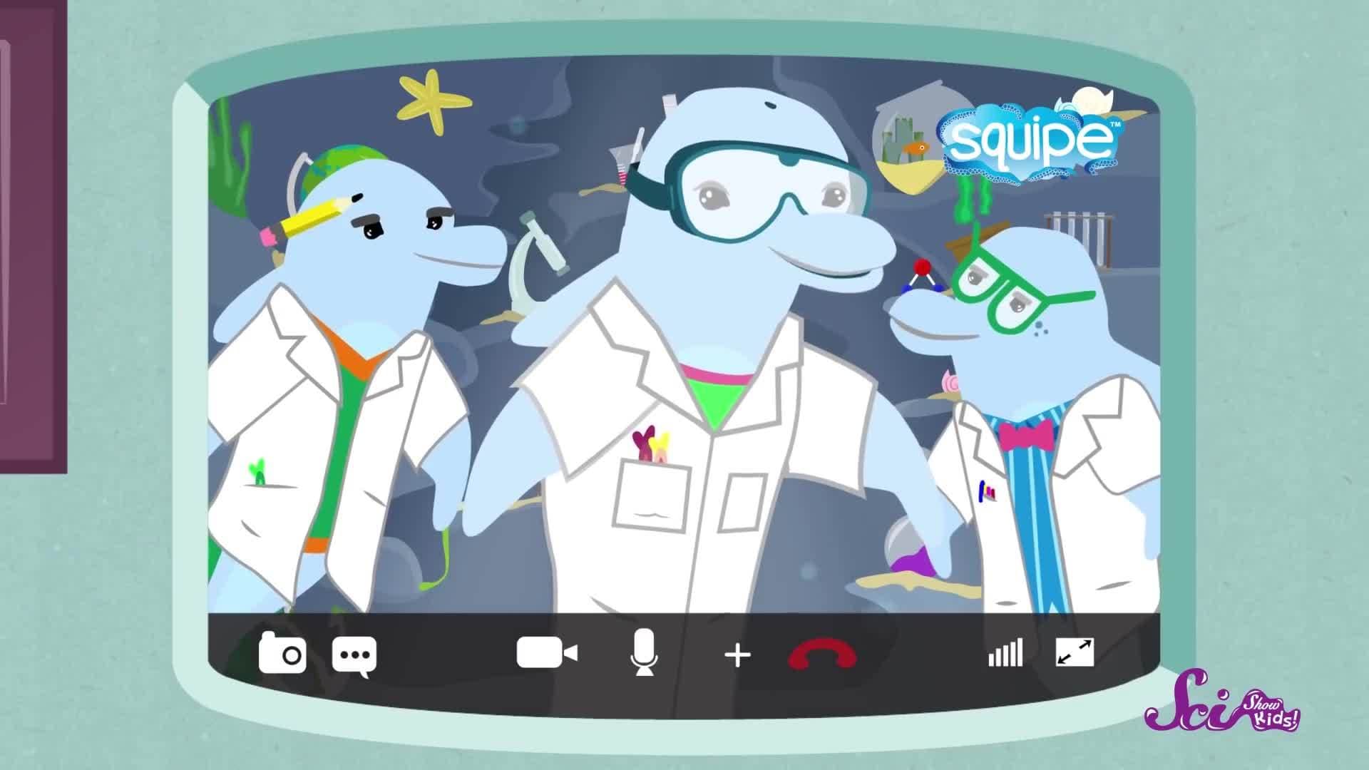 Let's Learn the Ocean Zones!