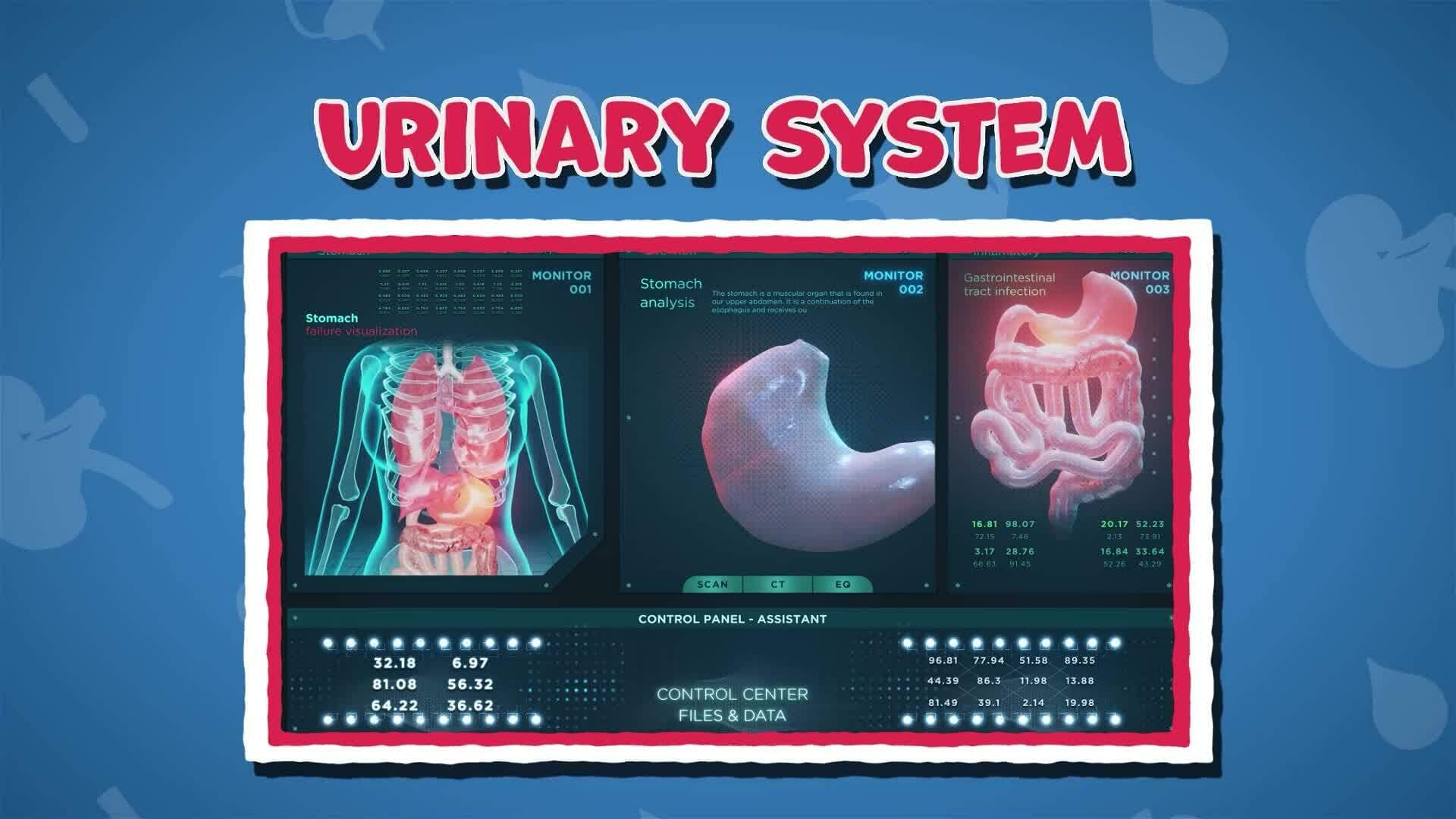 I WONDER - What Does The Urinary System Do?