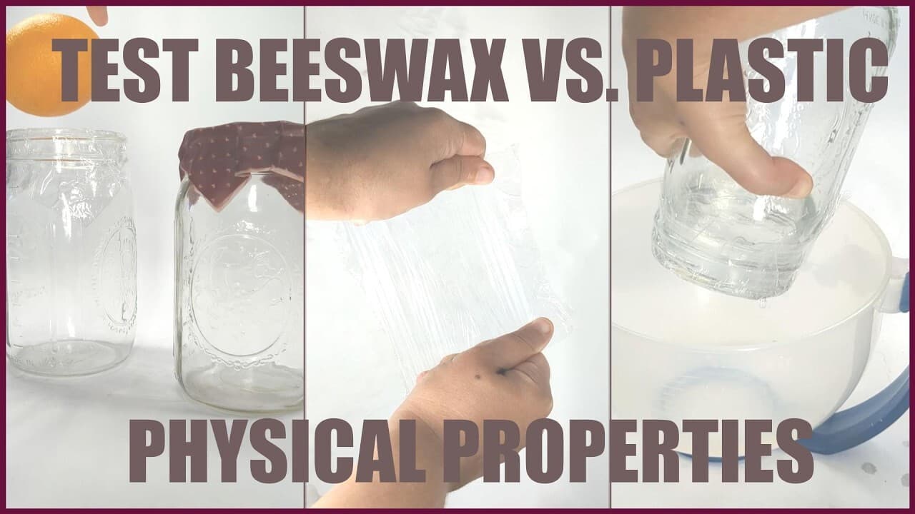 Can Beeswax Wraps Replace Plastic Wraps?