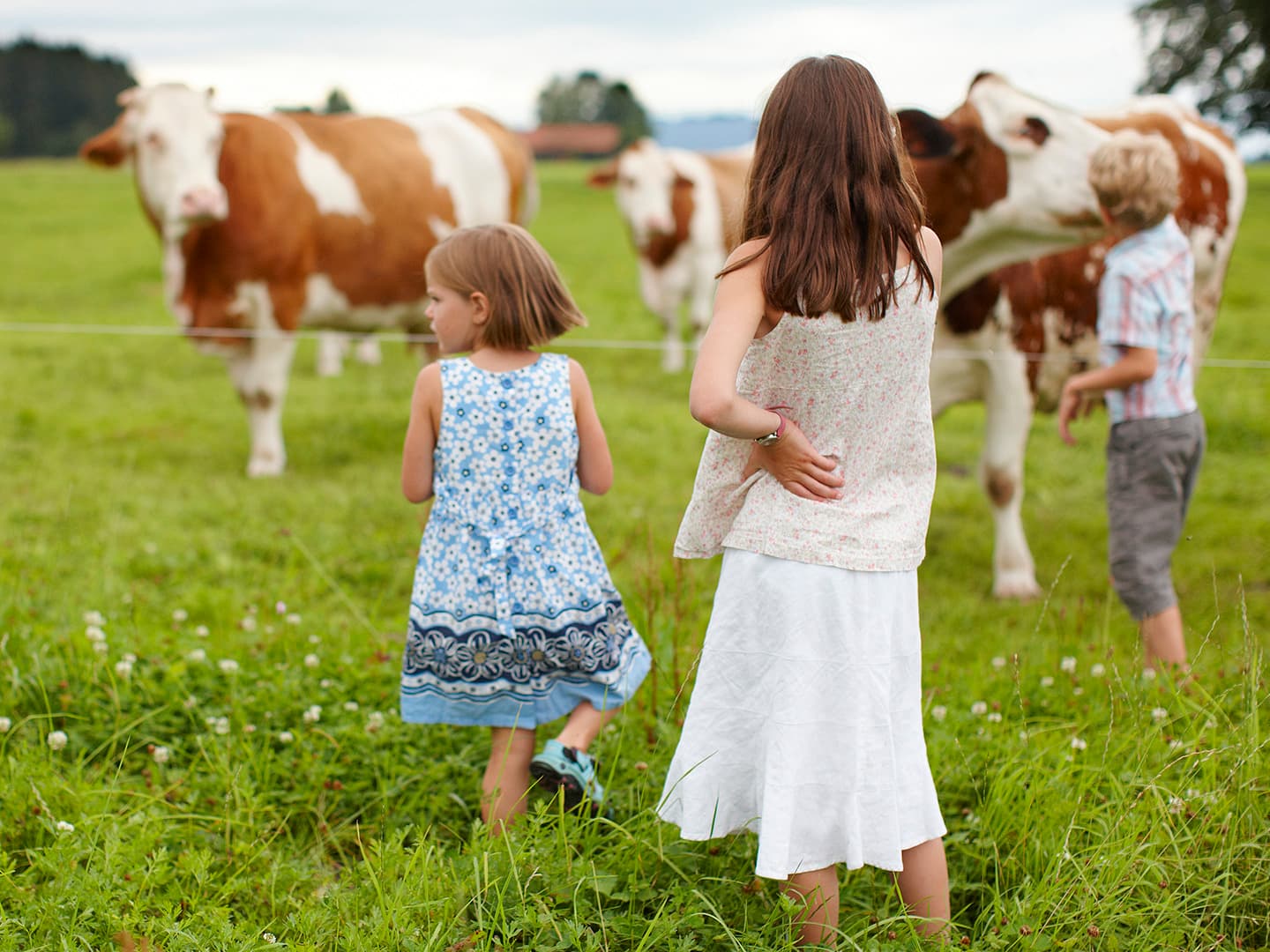 The Power of Love: A Story of Friendship and Kindness