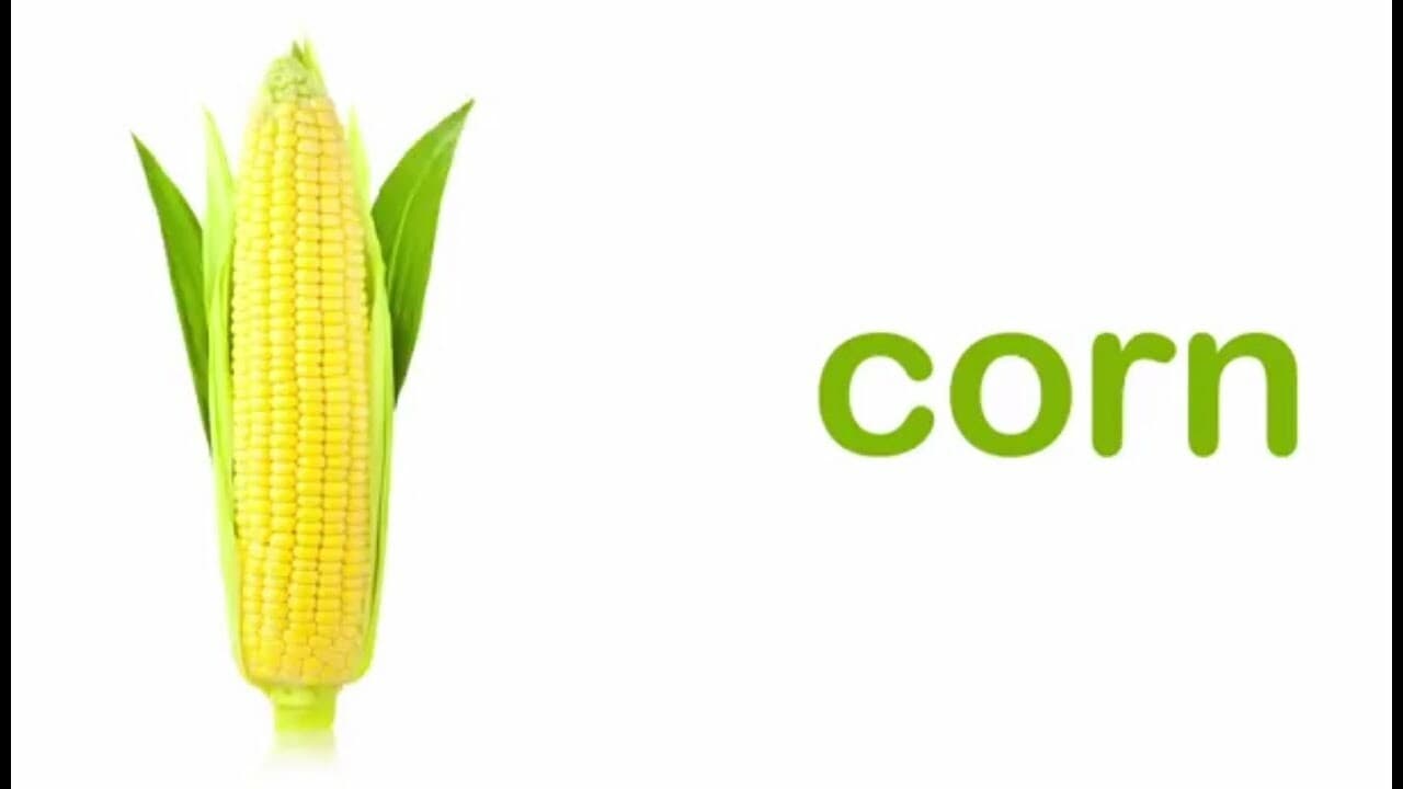 Exploring a Variety of Fresh Vegetables