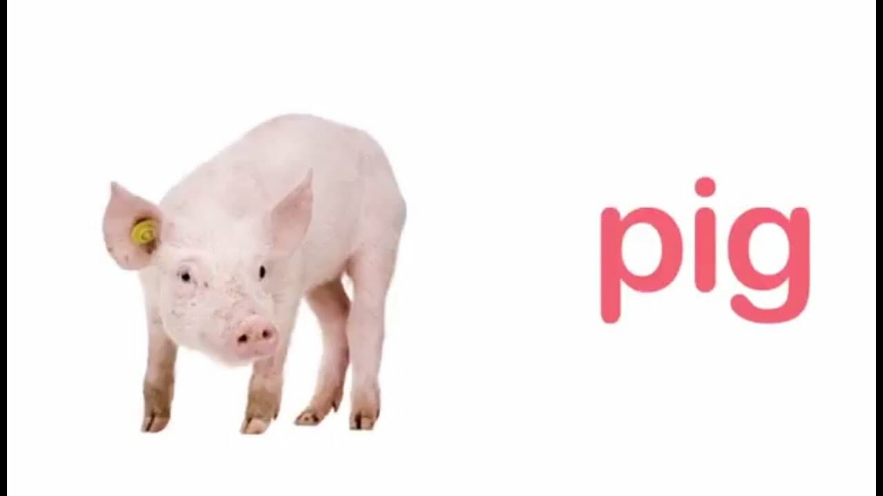 Farm Animal Sounds: A Fun Learning Experience