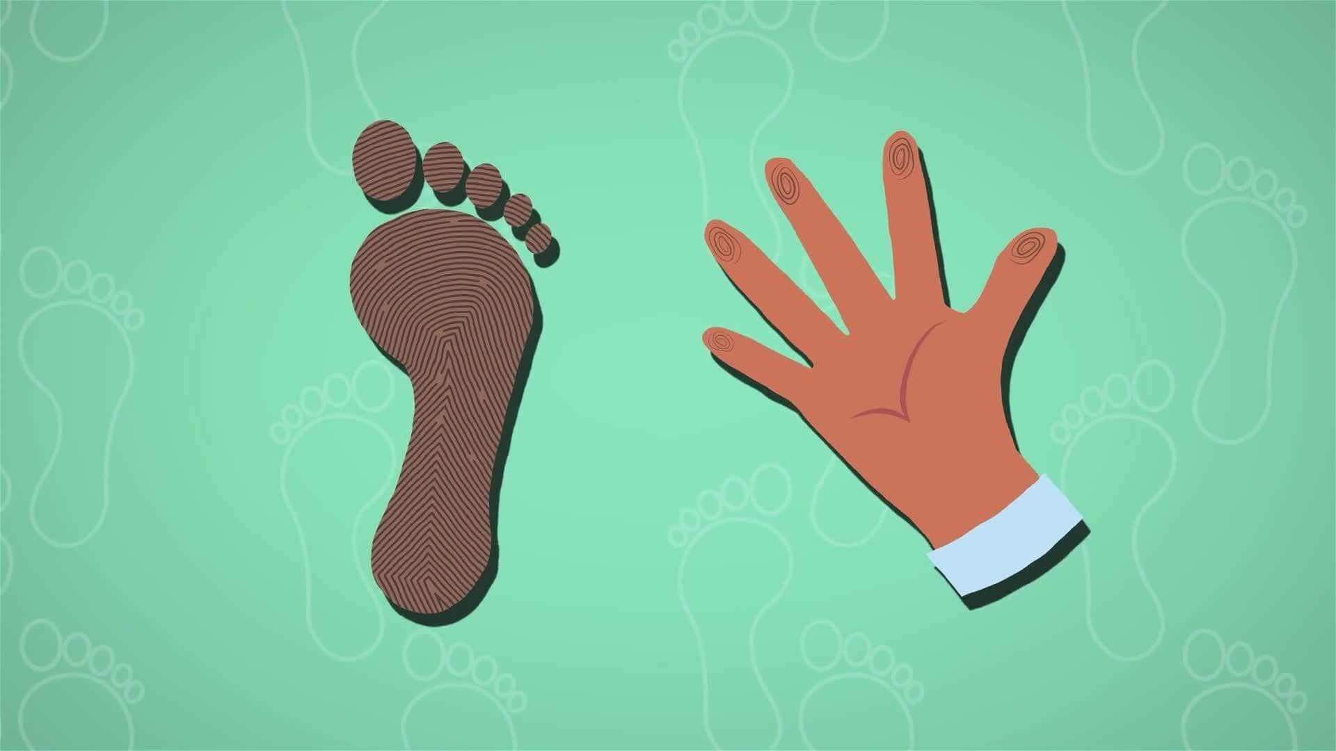 I WONDER - Are Footprints Unique?