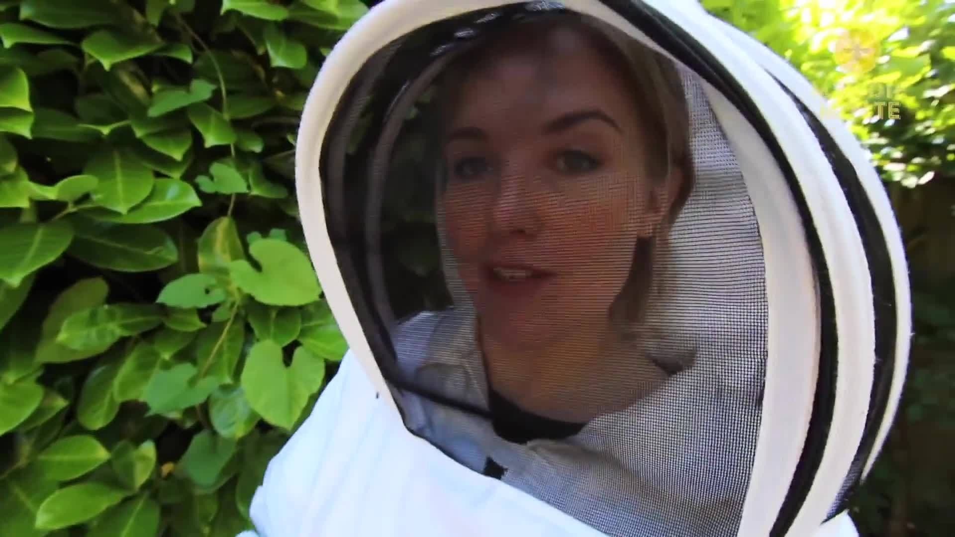 What is Propolis (and mummified mice!) Beekeeping with Maddie