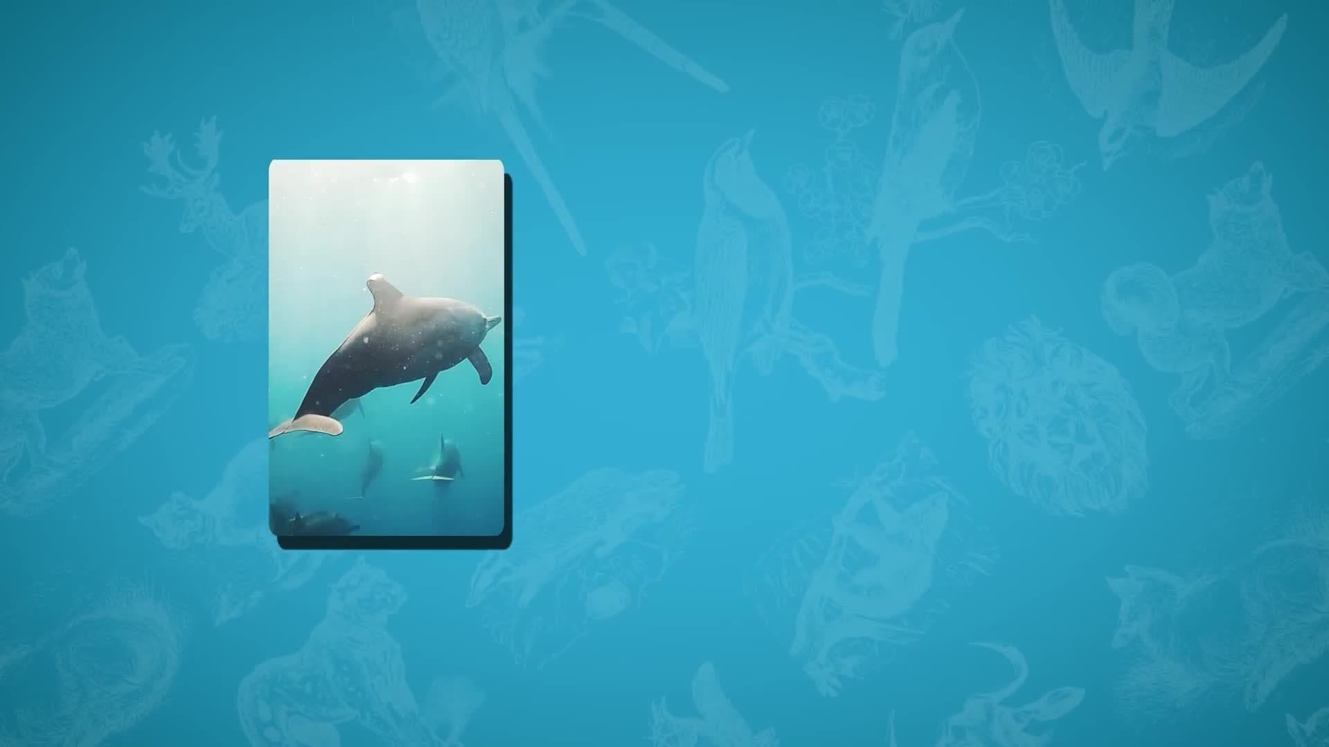 Five Facts - Vertebrates