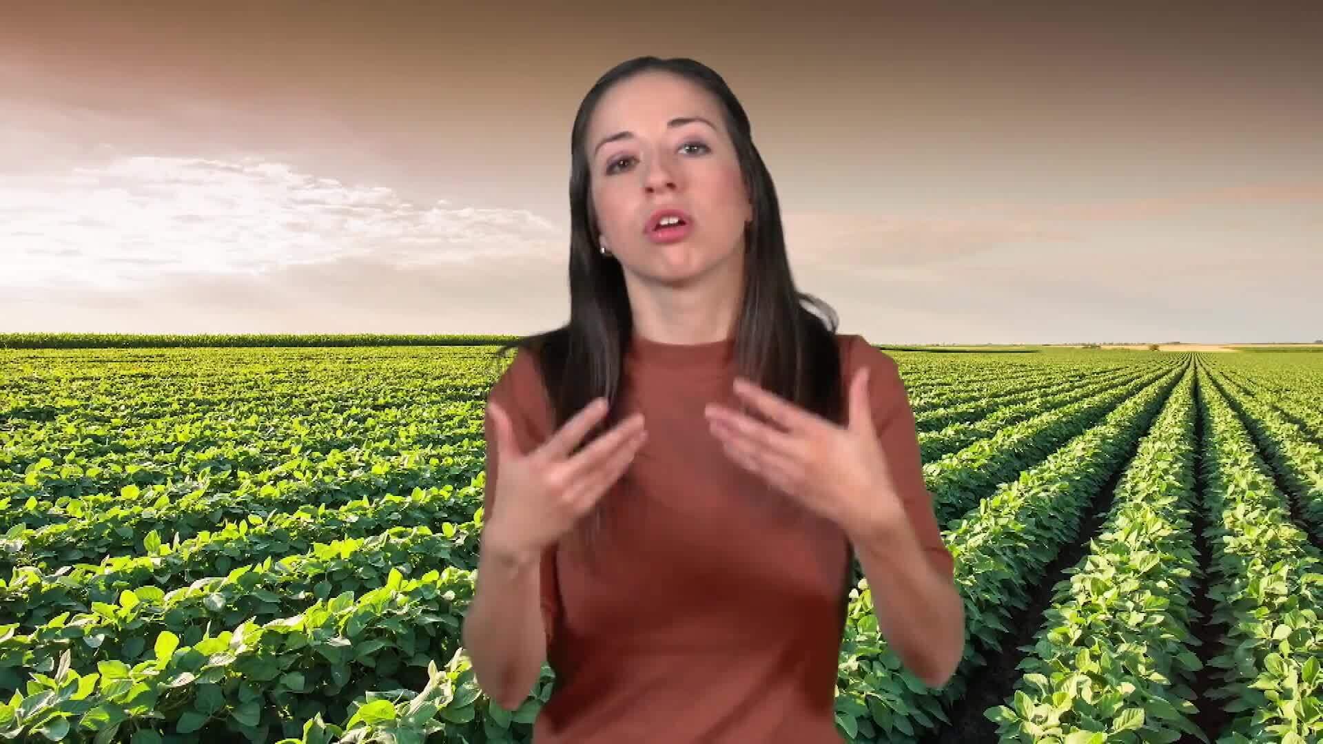 The Beginning of the Great Depression